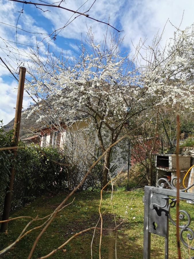 Casa Vista Lago E Giardino Porlezza Bagian luar foto