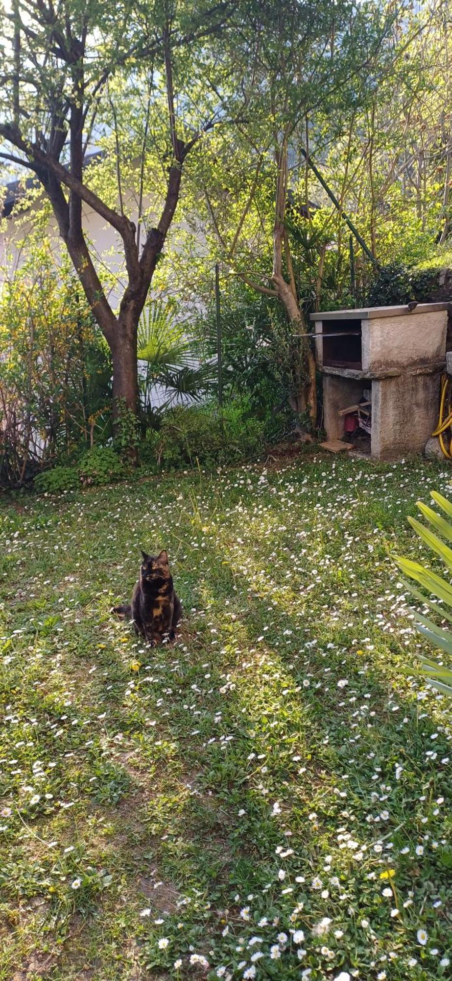 Casa Vista Lago E Giardino Porlezza Bagian luar foto